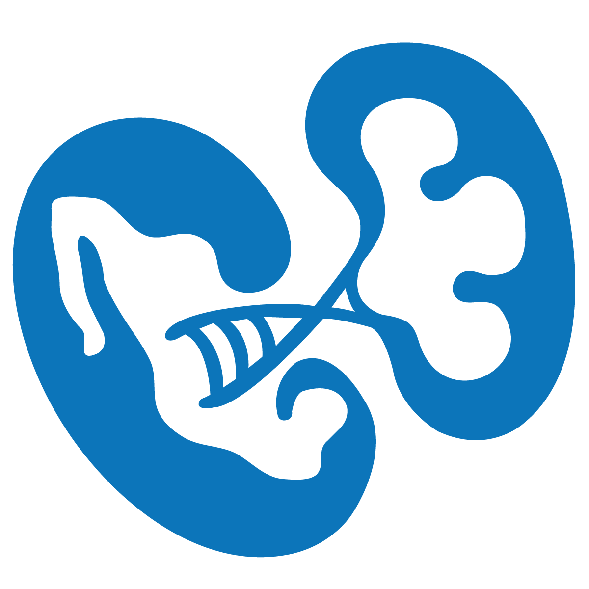 Dr. Felipe Mota Hernández